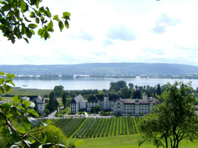 Fenster-Fachbetriebe in Allensbach: Stadtansicht – Foto: Tungsten Fenster-Fachbetriebe in Allensbach: Stadtansicht