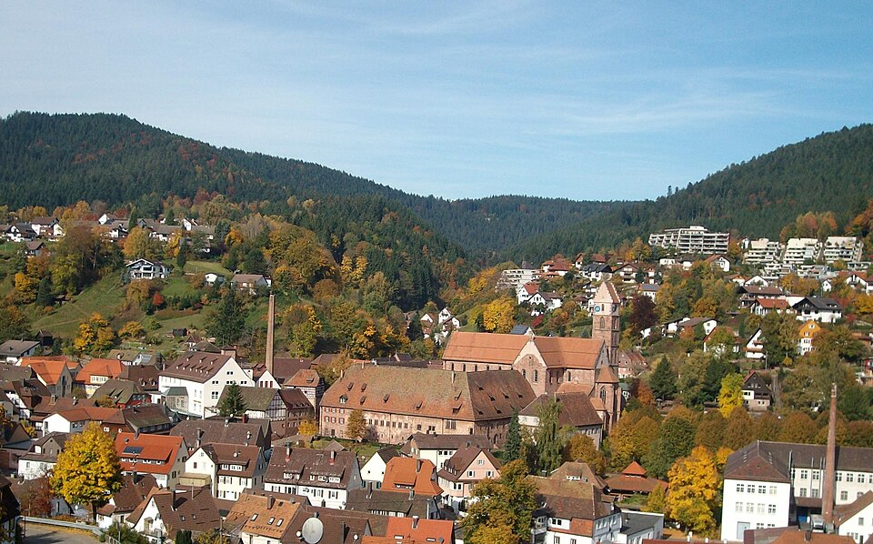 Fenster-Fachbetriebe in Alpirsbach: Stadtansicht
