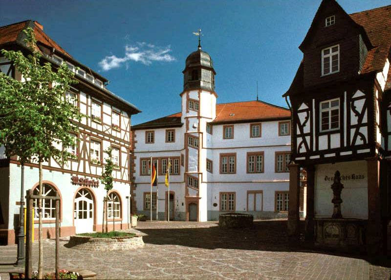 Fenster-Fachbetriebe in Alzey: Stadtansicht