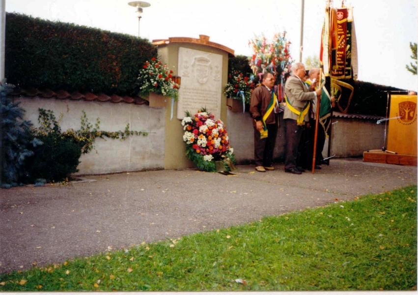 Fenster-Gurus in Asbach-Bäumenheim – Ansicht von Asbach-Bäumenheim