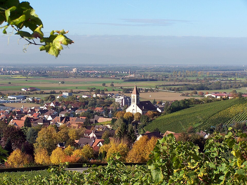 Fenster-Gurus in Auggen – Ansicht von Auggen