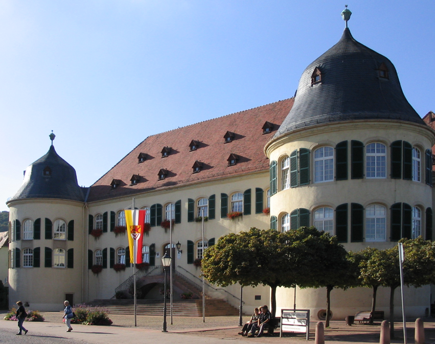 Fenster-Fachbetriebe in Bad Bergzabern: Stadtansicht