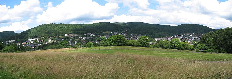 Fenster-Fachbetriebe in Bad Laasphe: Panorama