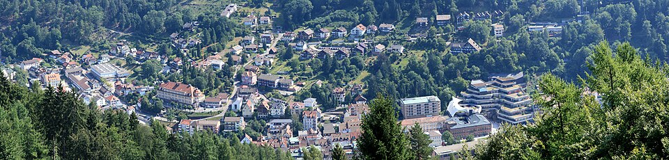 Fenster-Fachbetriebe in Bad Wildbad: Stadtansicht