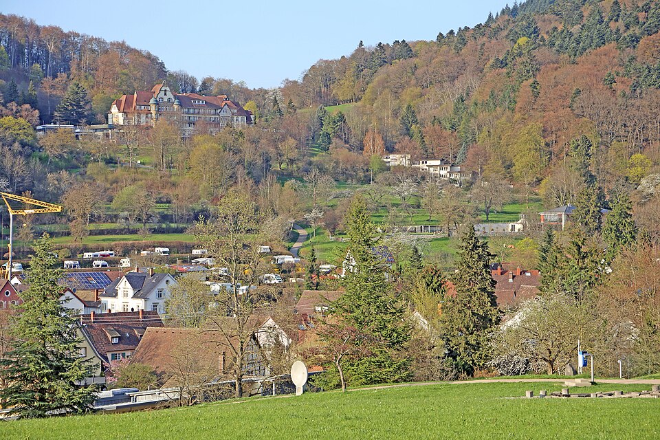 Fenster-Gurus in Badenweiler – Ansicht von Badenweiler (Foto: W. Bulach) Fenster-Gurus in Badenweiler – Ansicht von Badenweiler