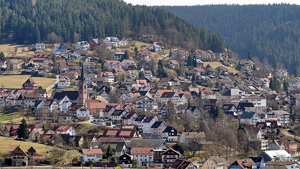 Fenster-Fachbetriebe in Baiersbronn: Stadtansicht