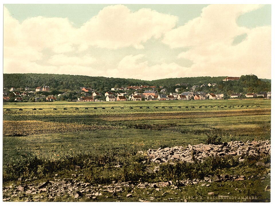 Fenster-Fachbetriebe in Ballenstedt: Stadtansicht