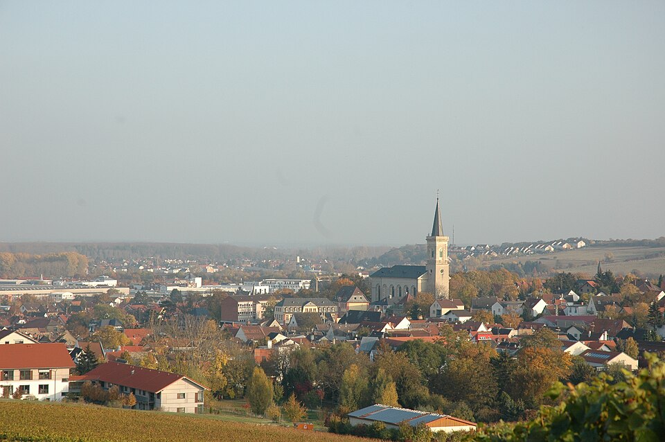 Fenster-Fachbetriebe in Bodenheim: Stadtansicht