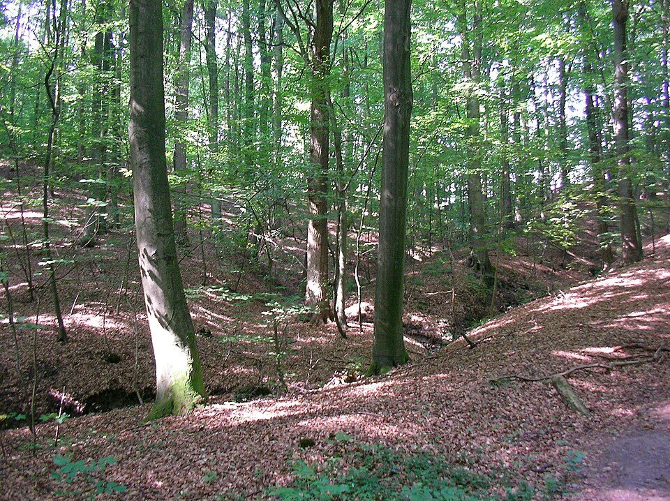 Fenster-Gurus in Börnsen – Ansicht von Börnsen