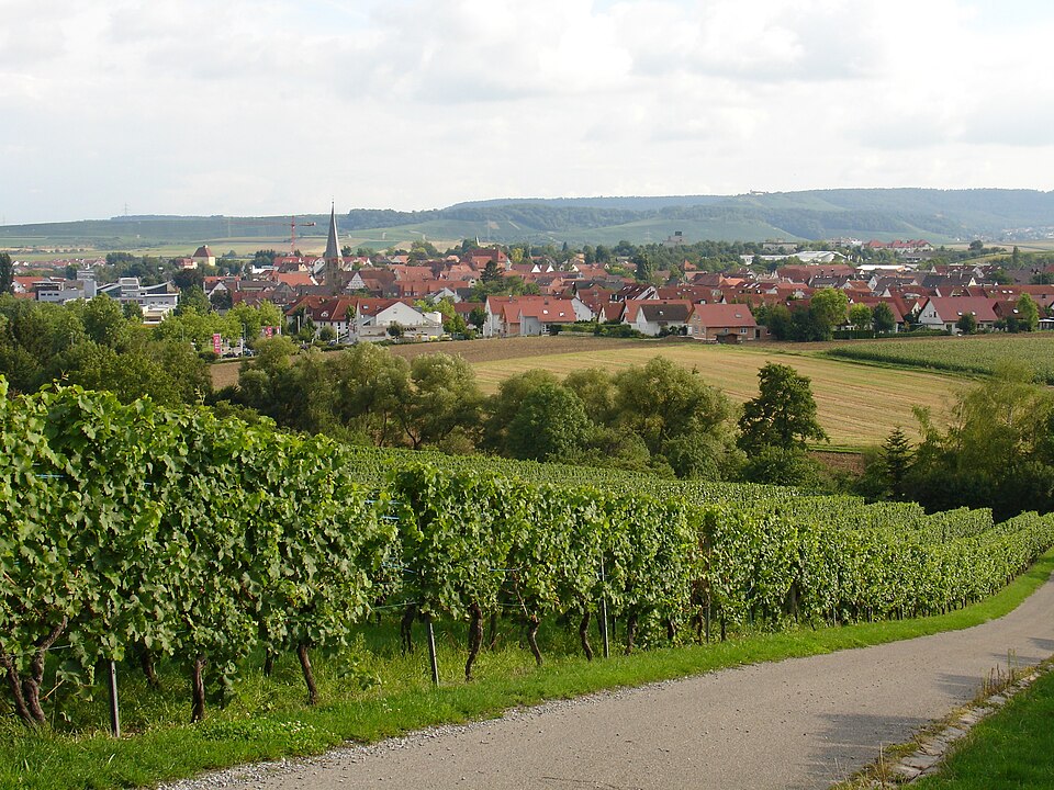 Fenster-Fachbetriebe in Brackenheim: Stadtansicht – Foto: Foto: Martin Naujocks Fenster-Fachbetriebe in Brackenheim: Stadtansicht