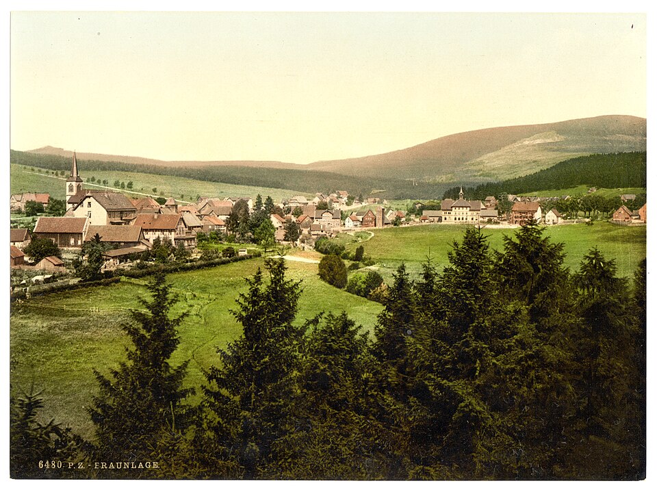 Fenster-Fachbetriebe in Braunlage: Stadtansicht