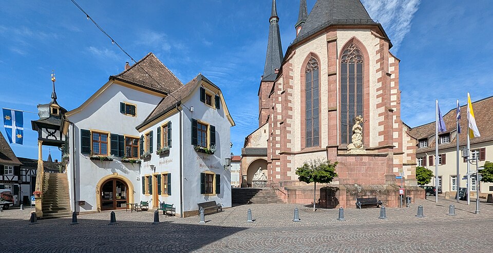 Fenster-Gurus in Deidesheim – Ansicht von Deidesheim