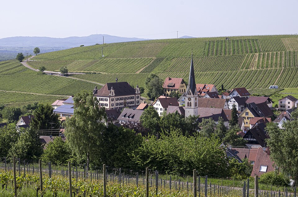 Fenster-Gurus in Ebringen – Ansicht von Ebringen (Foto: user:joergens.mi) Fenster-Gurus in Ebringen – Ansicht von Ebringen