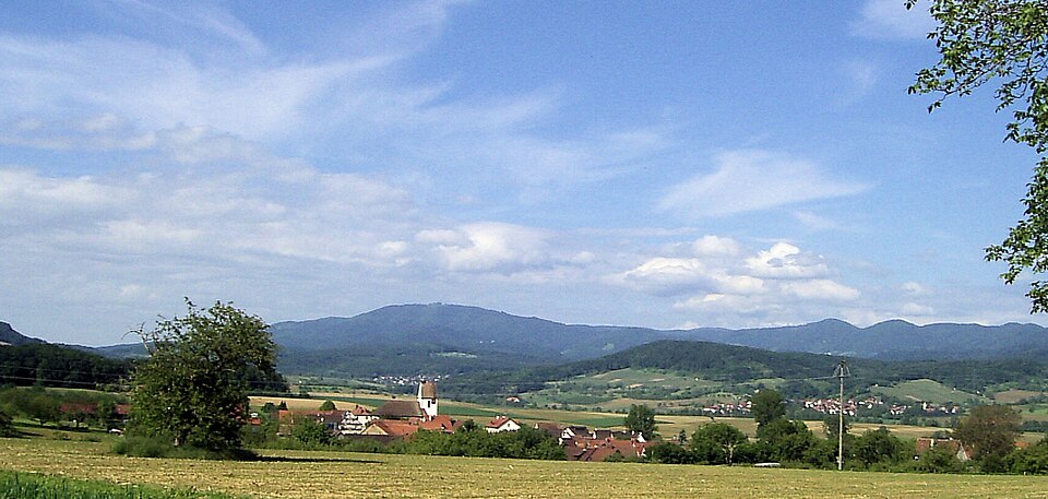 Fenster-Fachbetriebe in Efringen-Kirchen: Stadtansicht