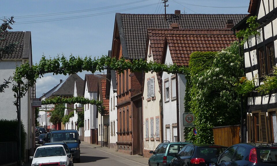 Fenster-Gurus in Ellerstadt – Ansicht von Ellerstadt