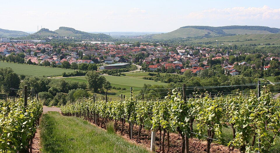 Fenster-Gurus in Ellhofen – Ansicht von Ellhofen