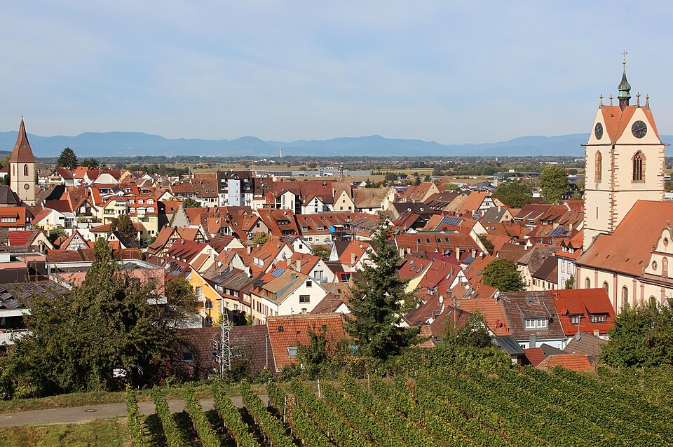 Fenster-Fachbetriebe in Endingen: Stadtansicht – Foto: LigaDue Fenster-Fachbetriebe in Endingen: Stadtansicht