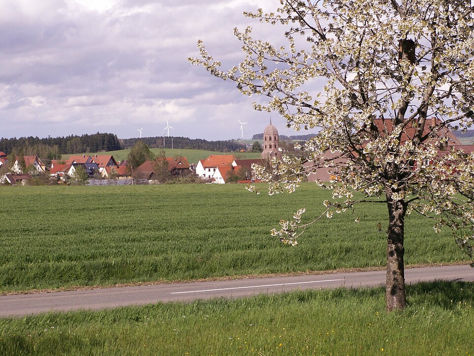 Fenster-Gurus in Eschbronn – Ansicht von Eschbronn
