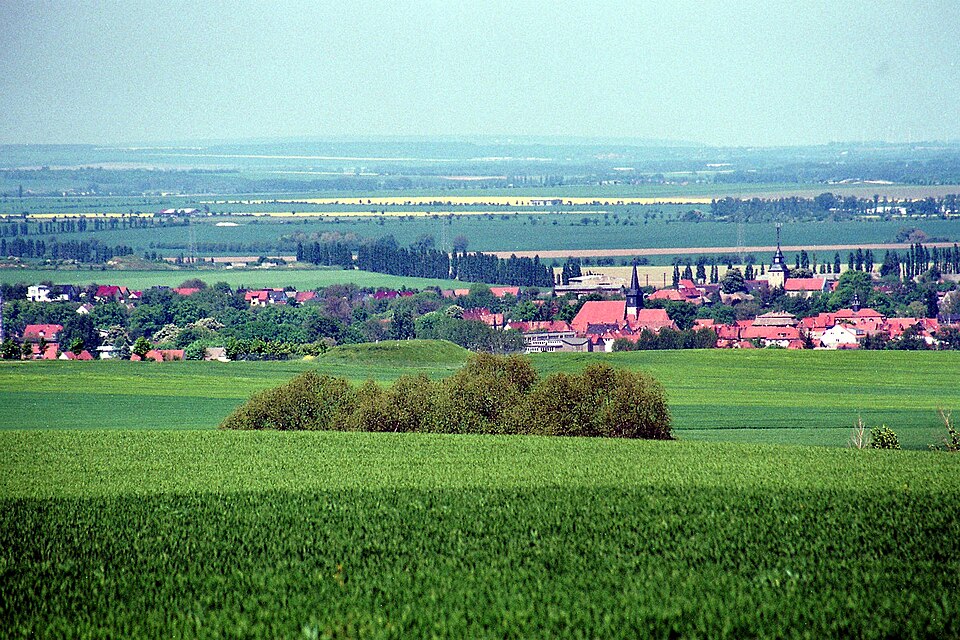 Fenster-Gurus in Falkenstein/Harz – Ansicht von Falkenstein/Harz