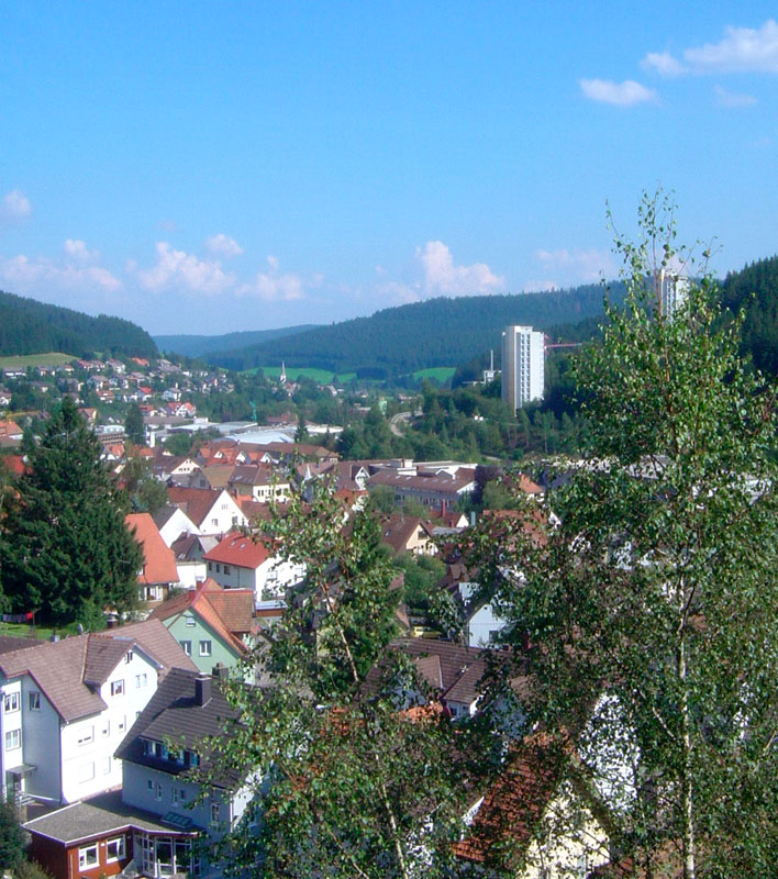 Fenster-Fachbetriebe in Furtwangen: Stadtansicht
