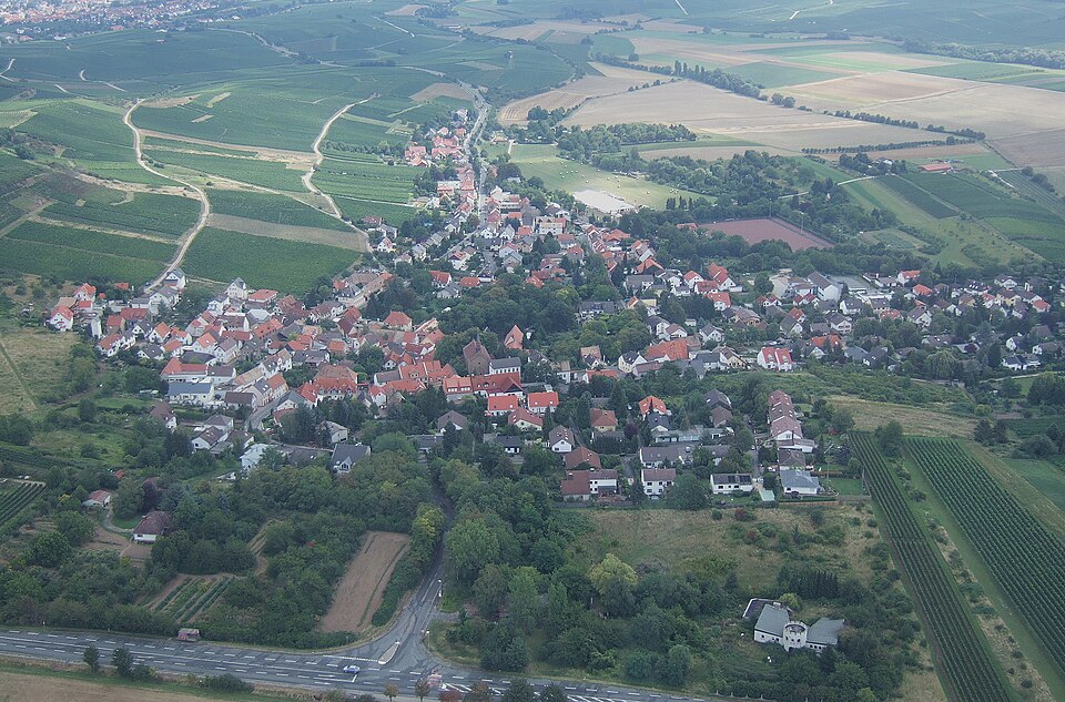 Fenster-Gurus in Gau-Bischofsheim – Ansicht von Gau-Bischofsheim
