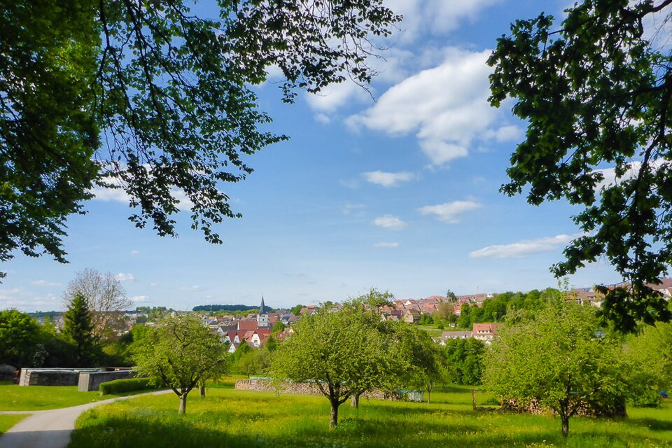 Fenster-Fachbetriebe in Grafenau: Stadtansicht