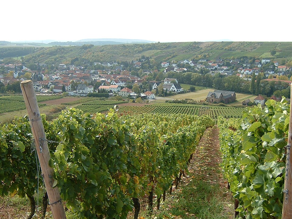 Fenster-Gurus in Guldental – Ansicht von Guldental (Foto: Anki64) Fenster-Gurus in Guldental – Ansicht von Guldental