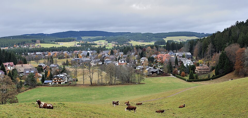 Fenster-Gurus in Hinterzarten – Ansicht von Hinterzarten