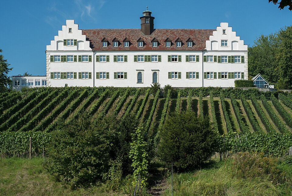 Fenster-Fachbetriebe in Immenstaad am Bodensee: Stadtansicht