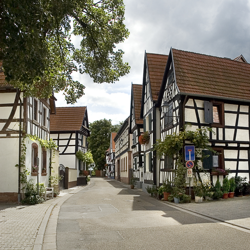 Fenster-Fachbetriebe in Jockgrim: Stadtansicht