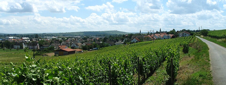 Fenster-Gurus in Langenlonsheim – Ansicht von Langenlonsheim