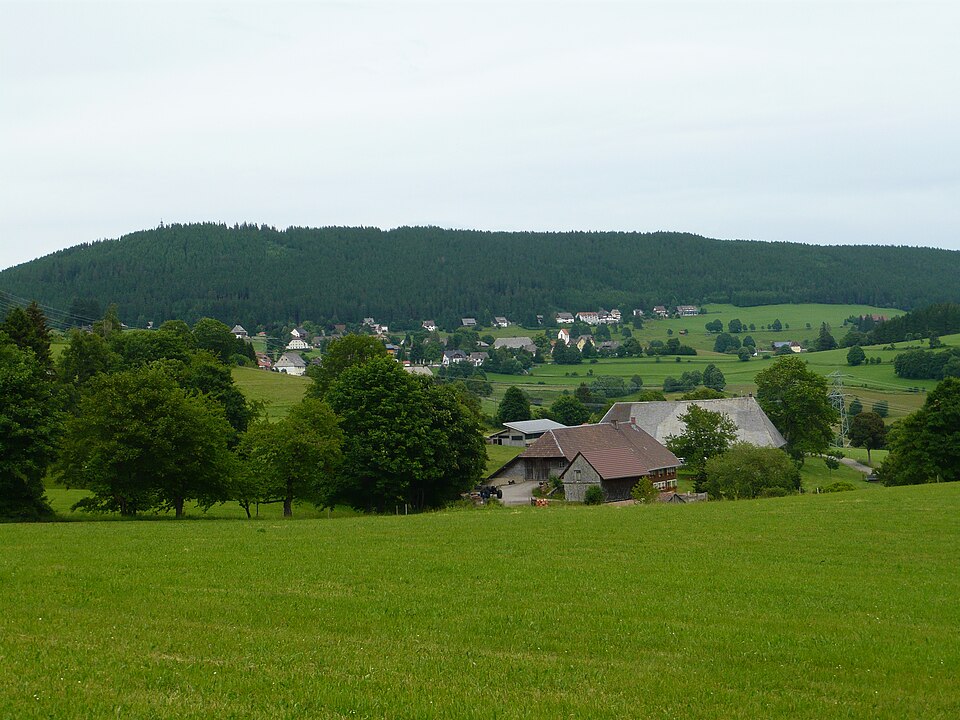 Fenster-Fachbetriebe in Lenzkirch: Stadtansicht