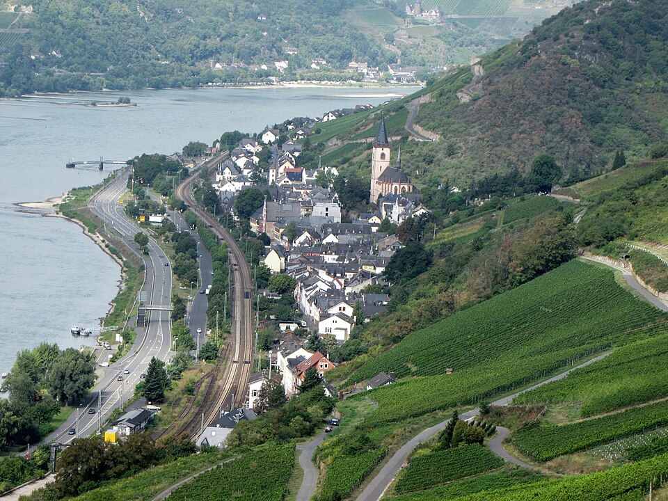 Fenster-Gurus in Lorch – Ansicht von Lorch (Foto: Traveler100) Fenster-Gurus in Lorch – Ansicht von Lorch