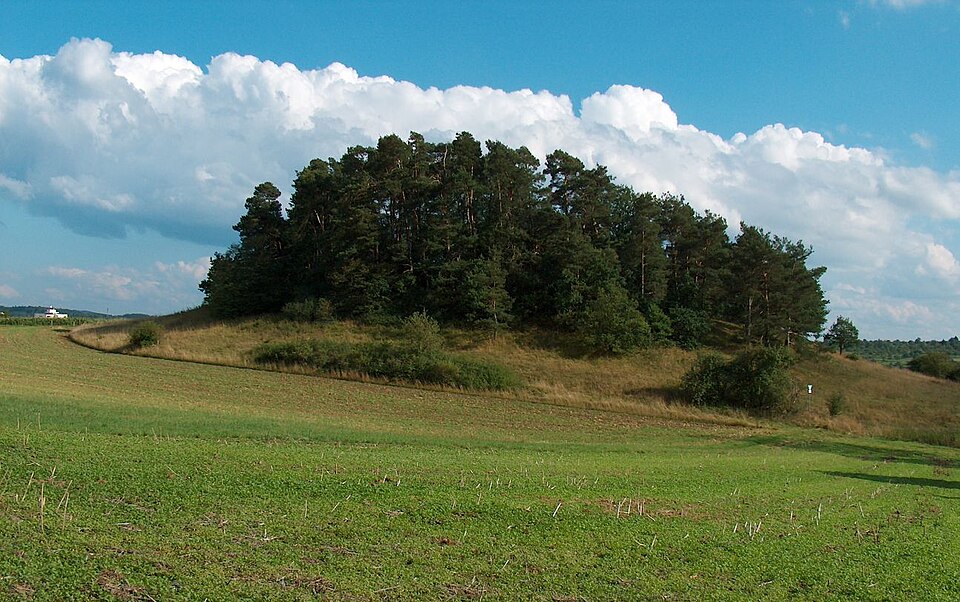 Fenster-Fachbetriebe in Magstadt: Stadtansicht
