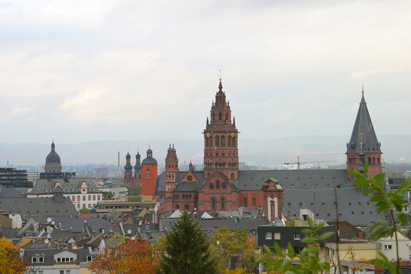 Fenster-Fachbetriebe in Mainz: Altstadt