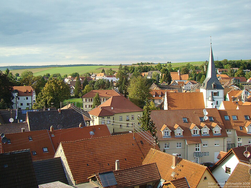 Fenster-Gurus in Neckarbischofsheim – Ansicht von Neckarbischofsheim
