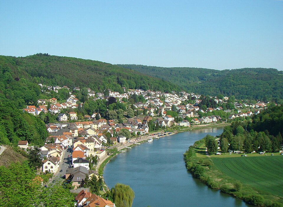Fenster-Gurus in Neckarsteinach – Ansicht von Neckarsteinach (Foto: peter schmelzle) Fenster-Gurus in Neckarsteinach – Ansicht von Neckarsteinach