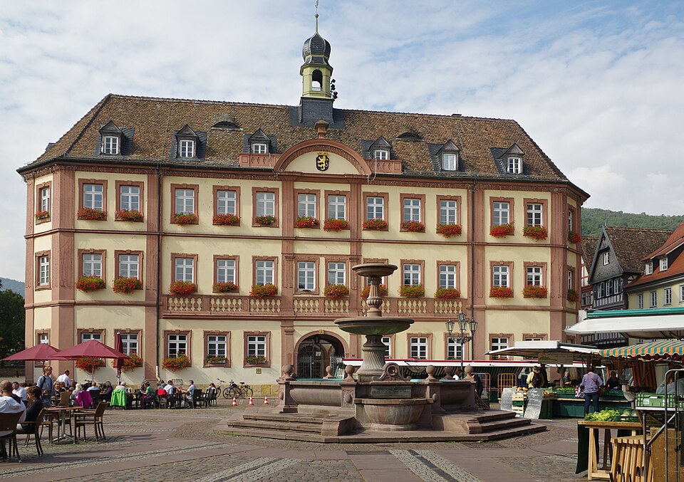 Fenster-Fachbetriebe in Neustadt an der Weinstraße: Stadtansicht