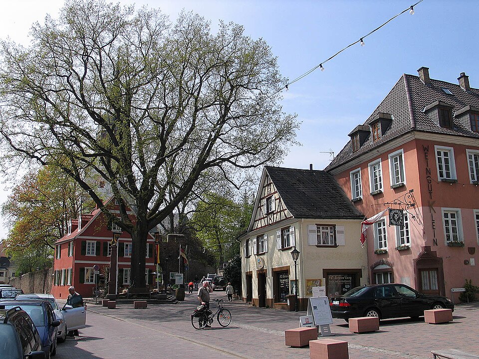 Fenster-Fachbetriebe in Nierstein: Stadtansicht