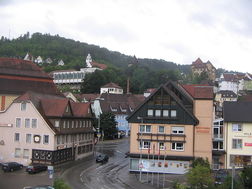 Fenster-Fachbetriebe in Oberndorf: Stadtansicht