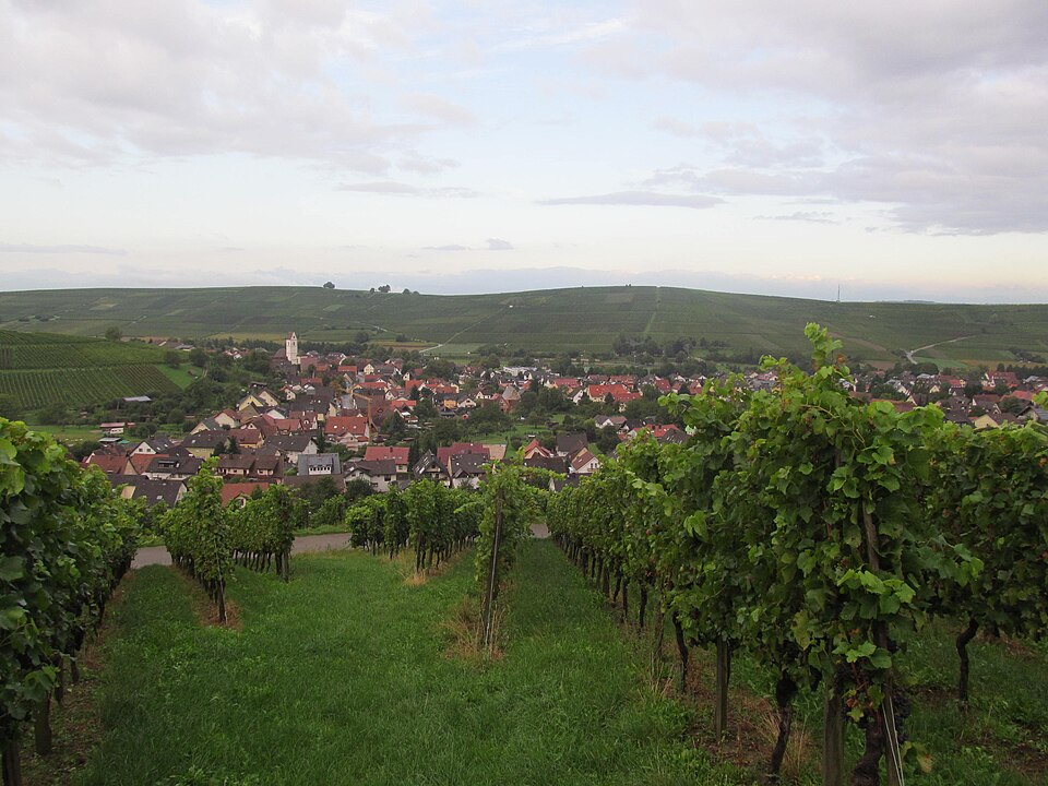 Fenster-Gurus in Pfaffenweiler – Ansicht von Pfaffenweiler (Foto: Gortyna) Fenster-Gurus in Pfaffenweiler – Ansicht von Pfaffenweiler