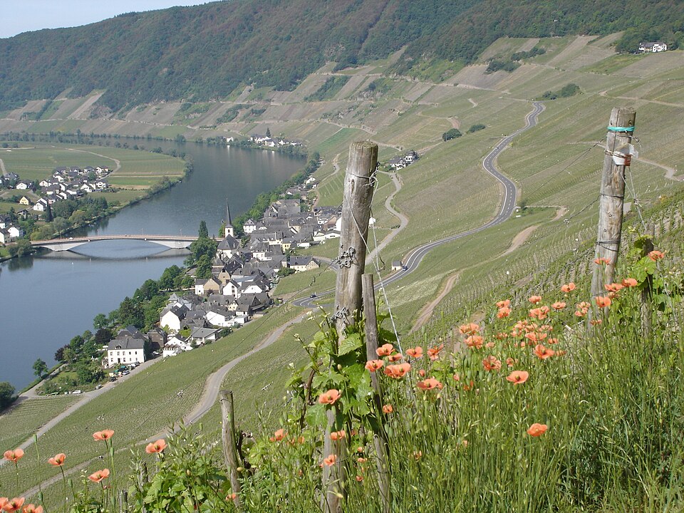 Fenster-Gurus in Piesport – Ansicht von Piesport (Foto: Touriste) Fenster-Gurus in Piesport – Ansicht von Piesport