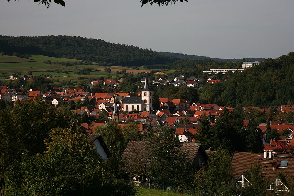 Fenster-Fachbetriebe in Reichelsheim: Stadtansicht