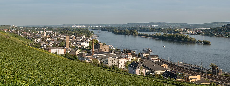 Fenster-Fachbetriebe in Rüdesheim am Rhein: Stadtansicht