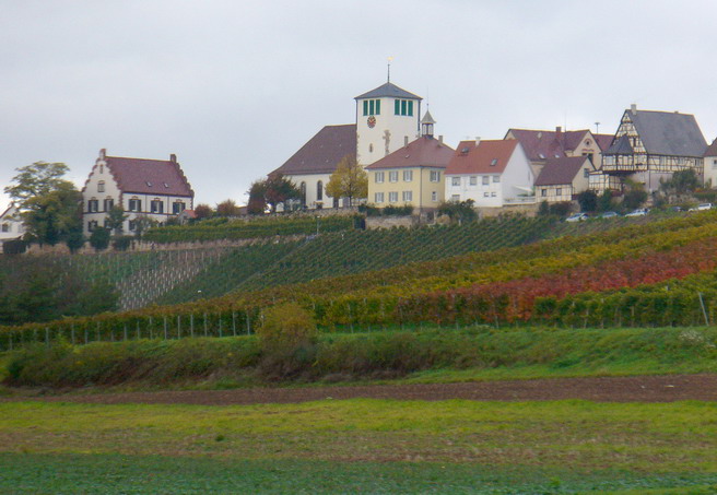 Fenster-Fachbetriebe in Sachsenheim: Stadtansicht
