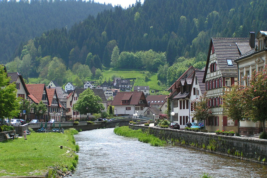 Fenster-Gurus in Schiltach – Ansicht von Schiltach