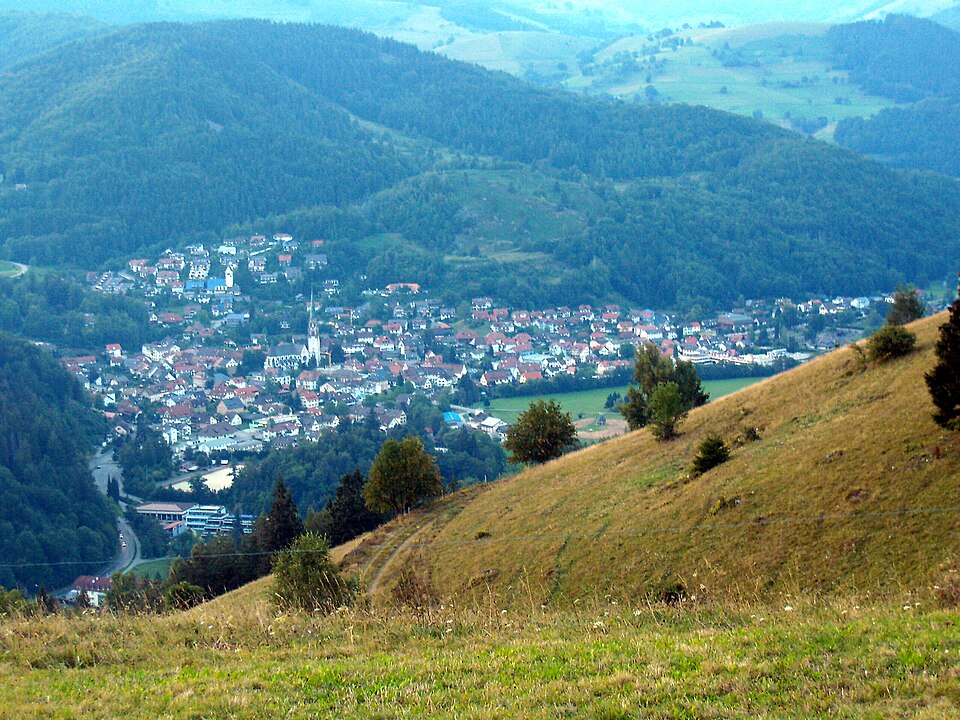 Fenster-Gurus in Schönau im Schwarzwald – Ansicht von Schönau im Schwarzwald (Foto: Leit) Fenster-Gurus in Schönau im Schwarzwald – Ansicht von Schönau im Schwarzwald