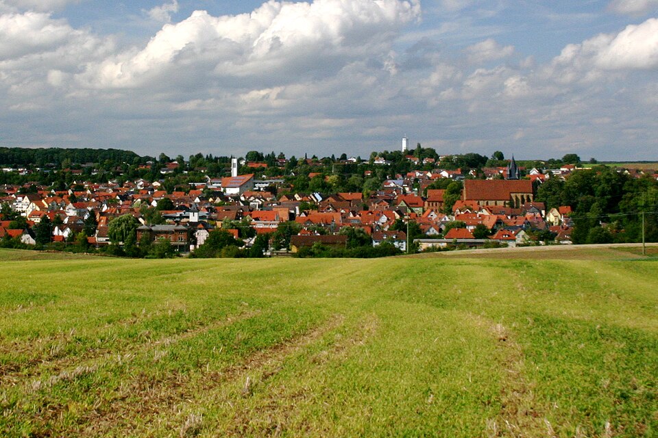 Fenster-Fachbetriebe in Schwaigern: Stadtansicht