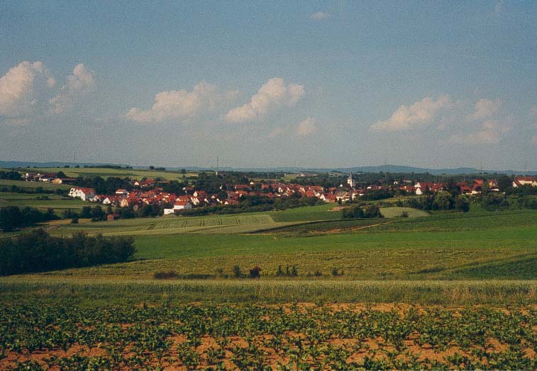 Fenster-Fachbetriebe in Schwaikheim: Stadtansicht