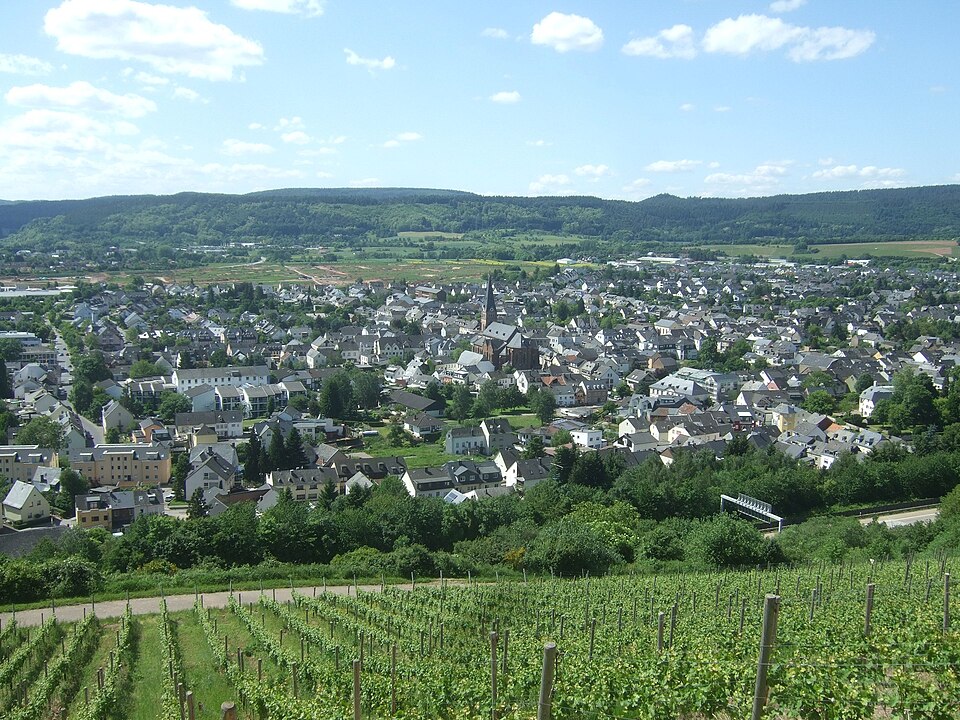 Fenster-Fachbetriebe in Schweich: Stadtansicht